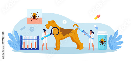 Dog Tick Season. Prevention of Lyme and Encephalitis Diseases. Removing Encephalitis Ticks. Veterinary Doctors Remove Mite. Parasite Carrying Disease. First Aid with Infections Transmitted by Mites