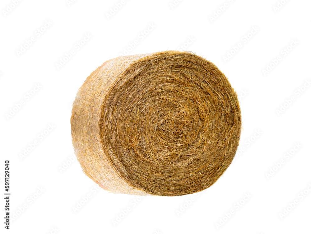 dryround bale isolated on white background dryround bale isolated on white background