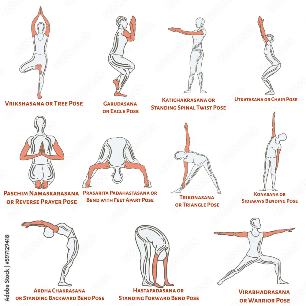 Yoga Asanas set of 11 Standing yoga poses for beginners Stock Vector