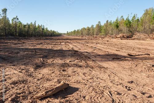 land being cleared for roads in rural Queensland photo