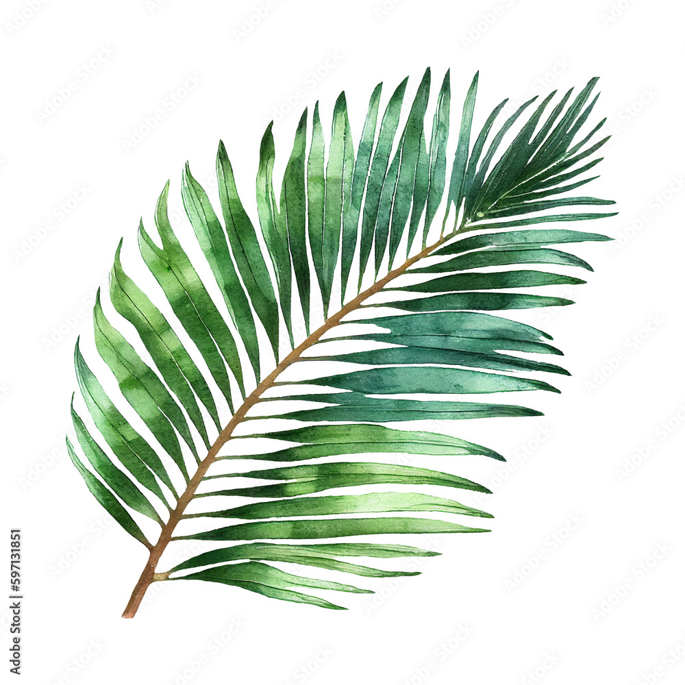 Fototapeta premium green palm leaf