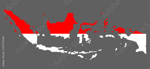 Indonesia map with flag asian cartography