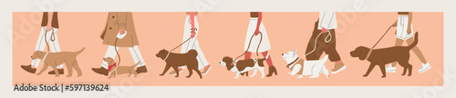 A man walks a dog on a leash. Various breeds of dogs for a walk. Dog show or dog walking in the city or in the park. Big set of vector multicolor illustrations.