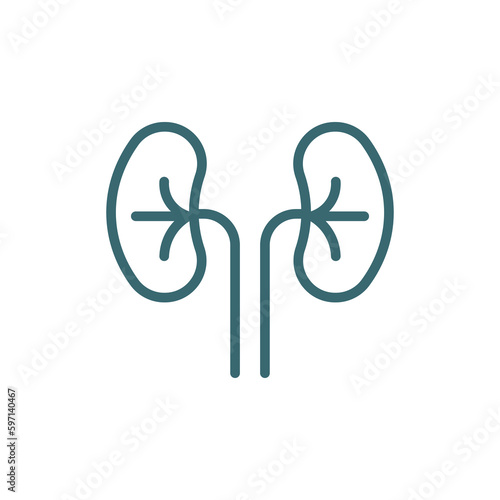 kidney icon. Filled kidney icon from medical collection. Glyph vector isolated on white background. Editable kidney symbol can be used web and mobile