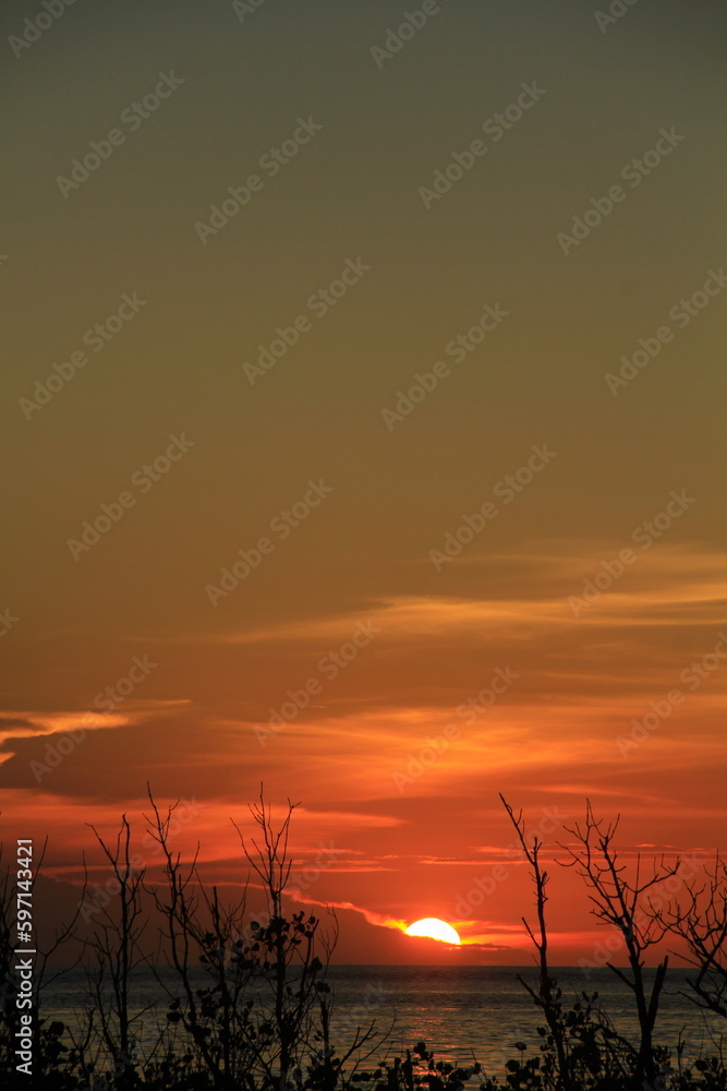 Obraz premium Sunset is bounded by a mirage of sky and sea, there are silhouettes in the foreground of tree branches and boats
