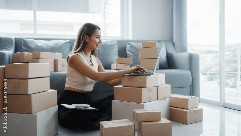 Using laptop, Portrait of pretty asian sme freelancer woman checking customer paid order on sofa after packing into cardboard box, online home small business, online influencer asia people. Using laptop, Portrait of pretty asian sme freelancer woman checking customer paid order on sofa after packing into cardboard box, online home small business, online influencer asia people.