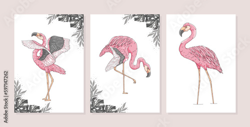 hand drawn exotic flamingo poster template collection