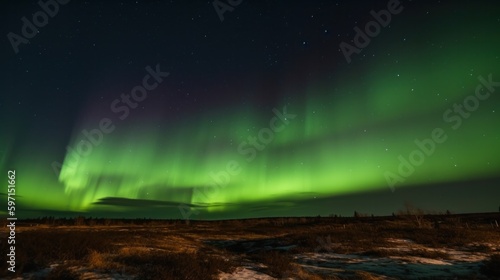 A large cloud of aurora borealis spreading above a boreal forest. Generative AI. © Pro Hi-Res