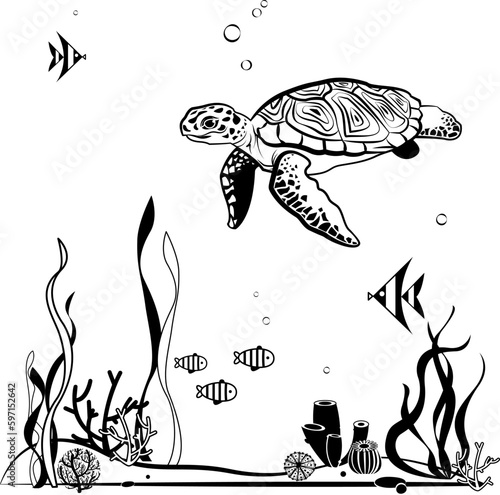 line illustration of swimming turtle and seabed.Underwater world with inhabitants for coloring and design.Vector drawing of turtle,fish,coral,algae.