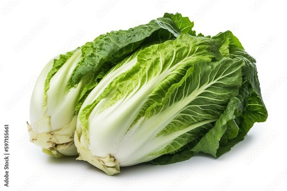 cabbage isolated on white background cabbage isolated on white background