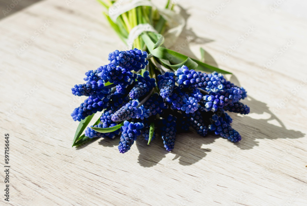 Bouquet of Blue Muscari Flowers Bouquet of Blue Muscari Flowers