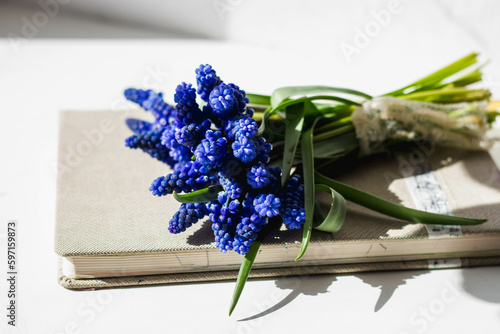 Bunch of Blue Flowers Under the Rays of the Sun