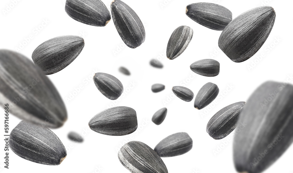 Flying sunflower black seeds, cut out Flying sunflower black seeds, cut out