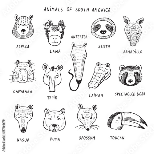 Animals of South America funny faces vector line illustrations set.