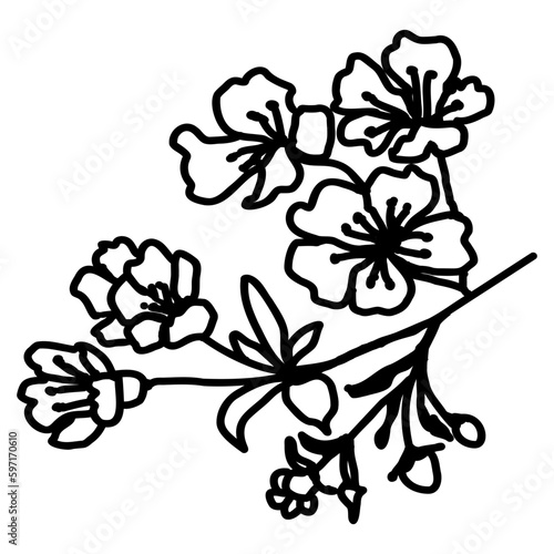 cherry tree flower, sketch vector illustration isolated on white background. Collection of different flowers