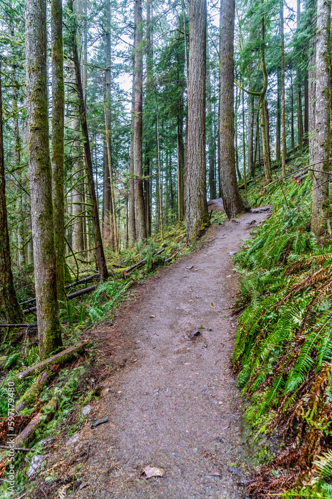 Twin Falls Trail 3 Twin Falls Trail 3