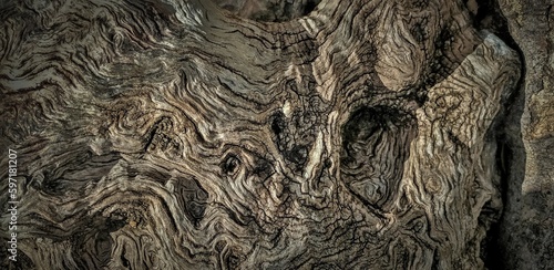 Rough wooden texture
