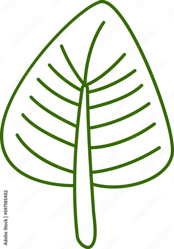 leaf line illustration leaf line illustration