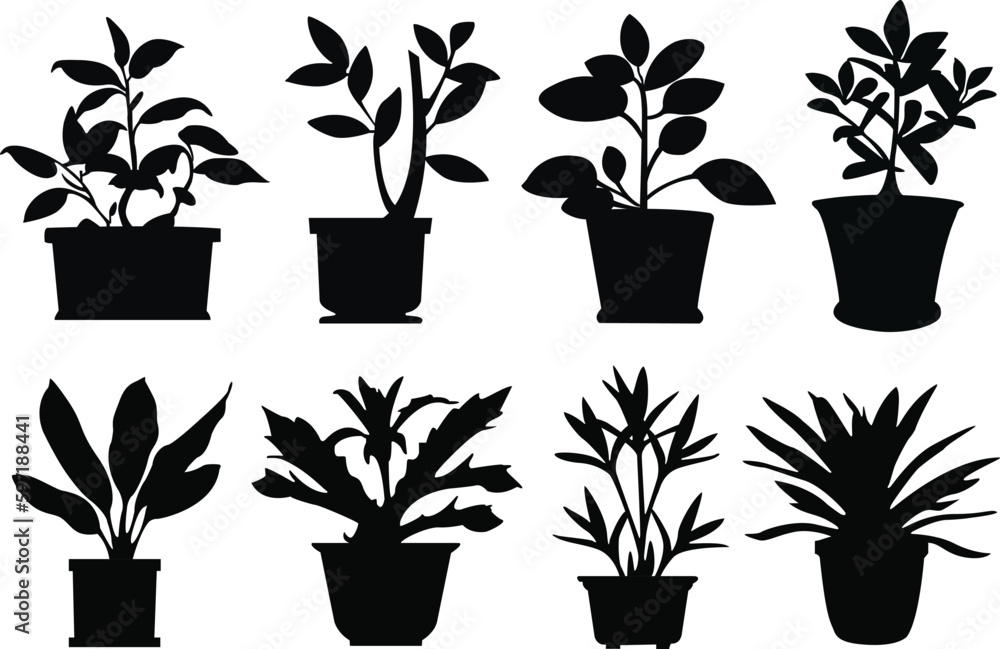 Set of potted plant silhouettes. Potted plant icons set. Potted plant vector illustrations set - obrazy, fototapety, plakaty 