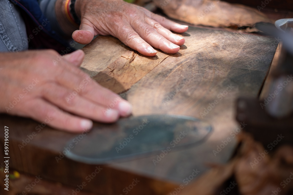 Process of making traditional cigars from tobacco leaves with your hands using a hand device. Tobacco leaves for making cigars. Close up of hands making cigars. Process of making traditional cigars from tobacco leaves with your hands using a hand device. Tobacco leaves for making cigars. Close up of hands making cigars.