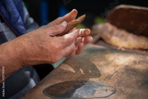 Process of making traditional cigars from tobacco leaves with your hands using a hand device. Tobacco leaves for making cigars. Close up of old mature hands making cigars.