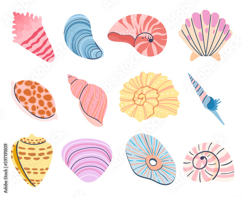 Tropical seashell. Cartoon clam, oyster and scallop shells