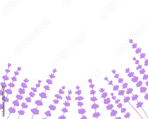 Card frame lavender flowers silhouette vector illustration