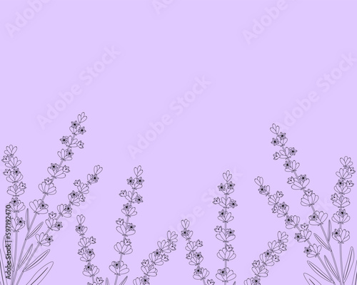 Card frame lavender flowers graphic vector illustration