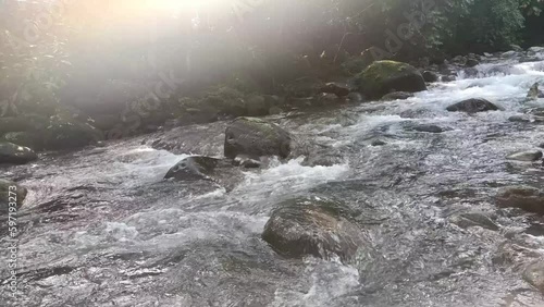 Clear stream running through stone boulders. Abundant river flowing on stone bottom. Wild mountain river water splashing in summer day.