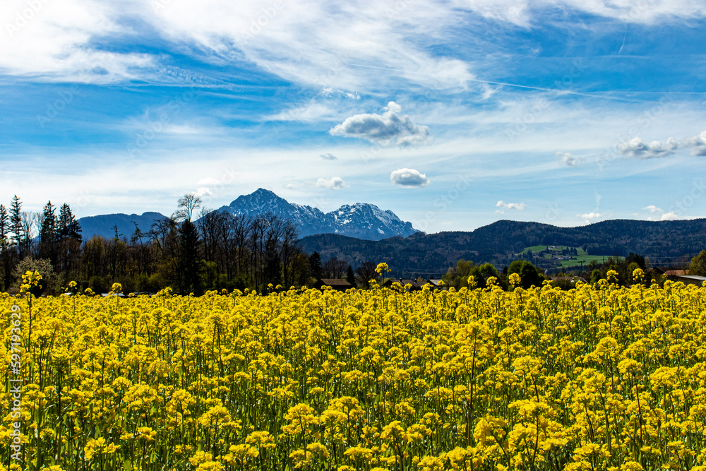 Bavarian Alps Bavarian Alps