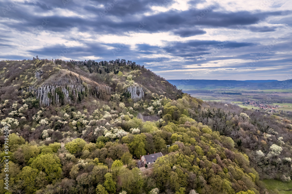 Basalt organs on the hillside of the Szent György Mountain in the Balaton Uplands of Hungary during spring 