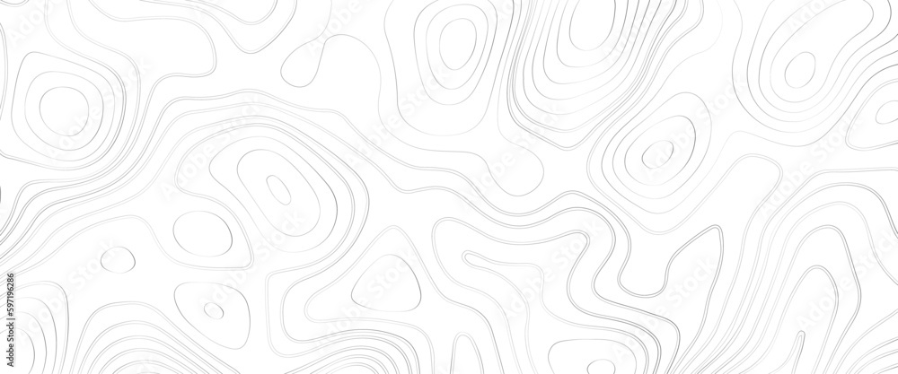 Obraz premium Topographic line contour map background, geographic grid map, Abstract white topography vector background. Vector illustration of topographic line contour map, black-white design, Luxury white. 