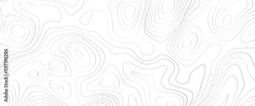 Topographic line contour map background, geographic grid map, Abstract white topography vector background. Vector illustration of topographic line contour map, black-white design, Luxury white. 