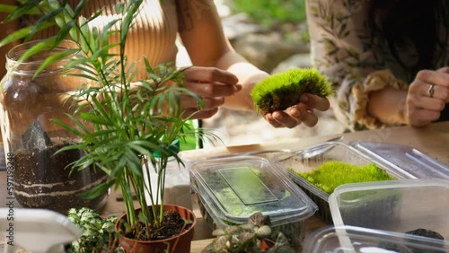 Person making terrarium. Group of people at outdoor florarium training and seminar. Self-sustaining micro garden ecosystem. People learning to create terrariums. Zen meditation hobby. Creative meetup.