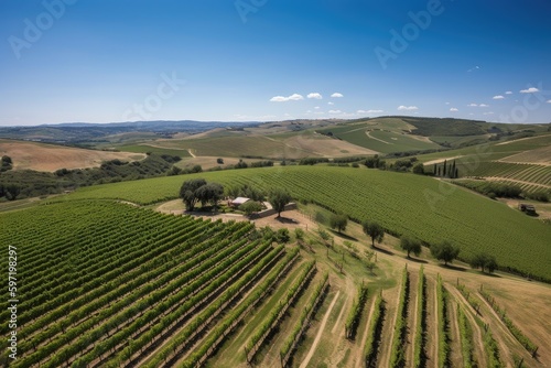 vineyard with rolling hills and blue sky above, seen from bird's-eye view, created with generative ai