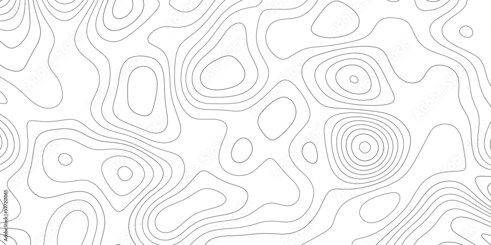 Abstract design with black and white abstract background . Topography map concept. 3d rendering . Creative and similar design with white and black tone paper cut wave curve with blank