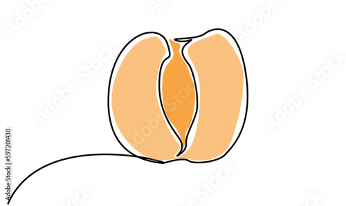 fresh ripe half peach orange line art
