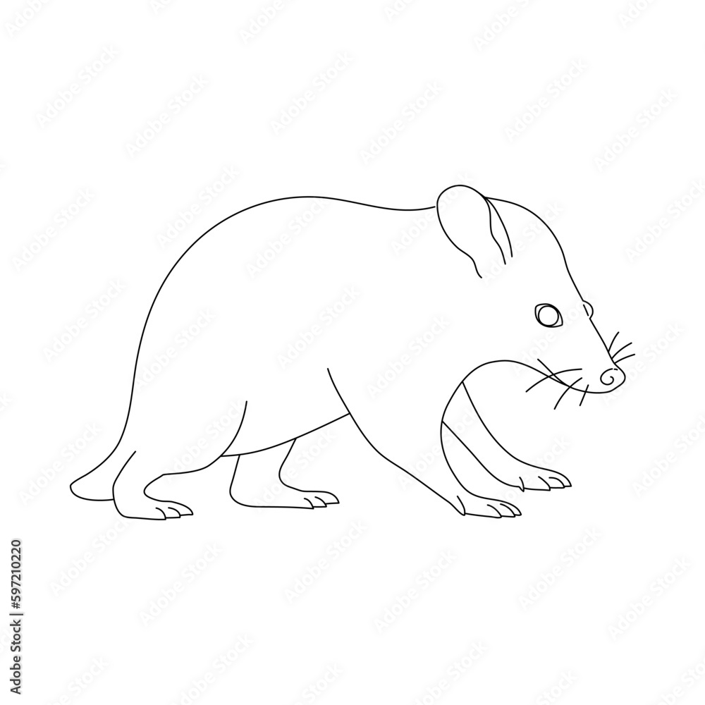 Obraz premium Possum in line art drawing style. Vector illustration.