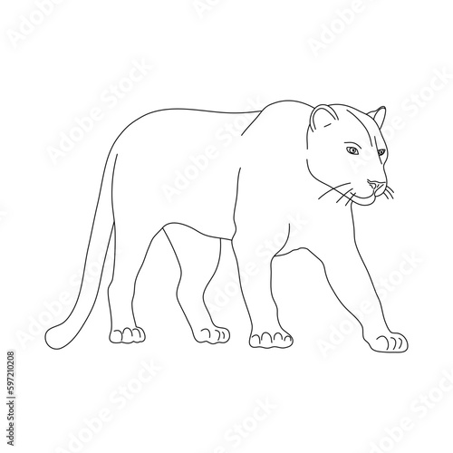 Sketch of Panther. Hand drawn vector illustration.