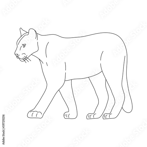 Sketch of Puma. Hand drawn vector illustration.
