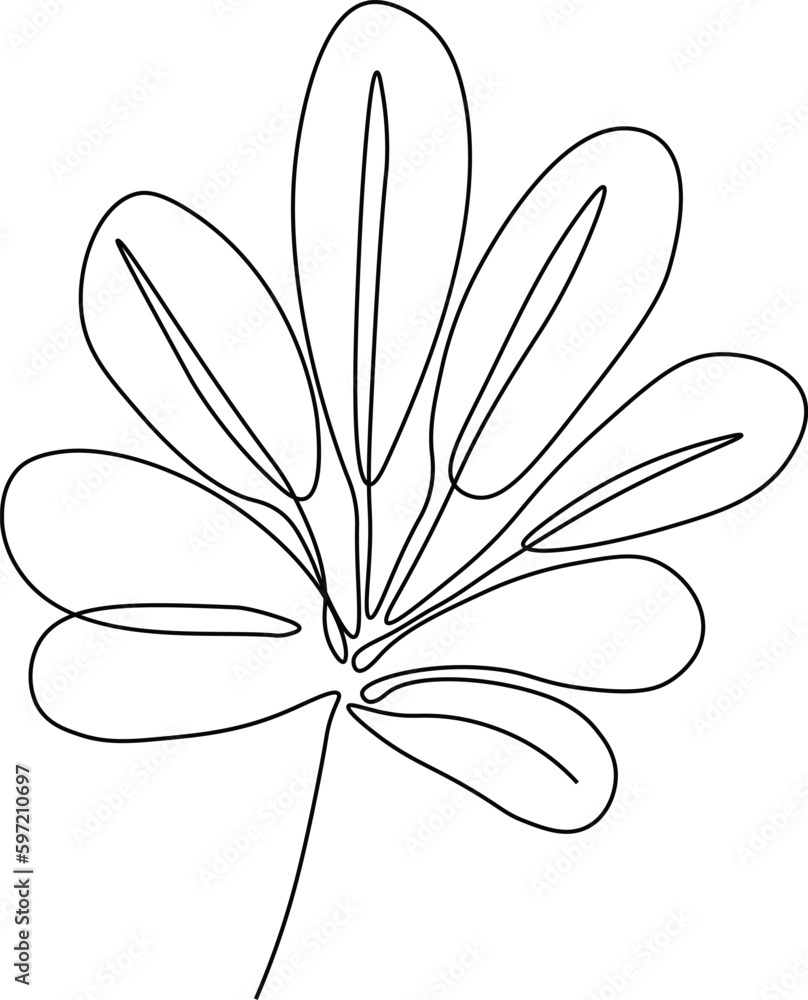 One line continuous boho leaves, single line drawing art, boho plant art, botanical leaves isolated, simple art design, abstract line, vector One line continuous boho leaves, single line drawing art, boho plant art, botanical leaves isolated, simple art design, abstract line, vector