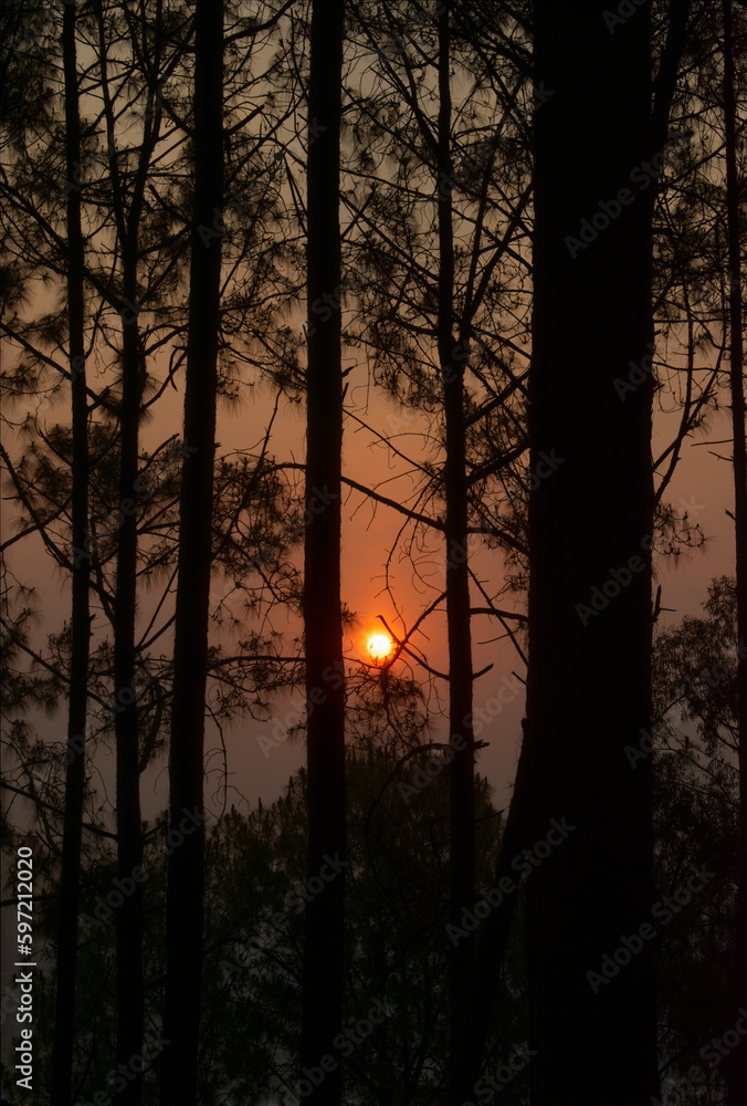 Beautiful Sunrise from Uphill