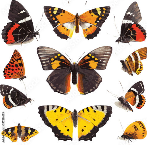 collection of butterflies © I LOVE PNG