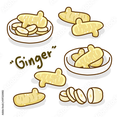 Set ginger on background vector.