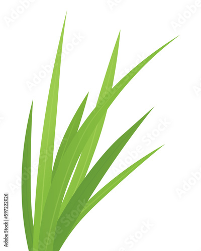 blades of green grass - vector illustration