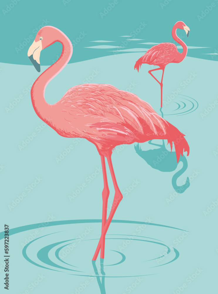 Obraz premium Flamants roses 