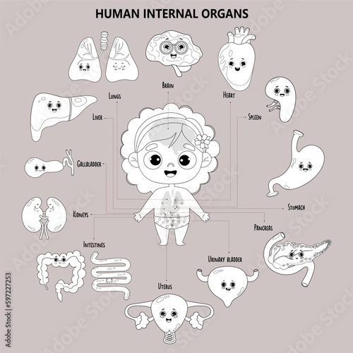 Kids anatomy human female body. Cute girl and visual internal organs. Funny characters with faces, names and locations. Medical infographic colorize. Vector illustration. Outline, hand drawing.