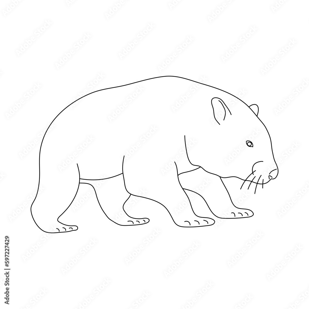 Fototapeta premium Wombat in line art drawing style. Vector illustration.