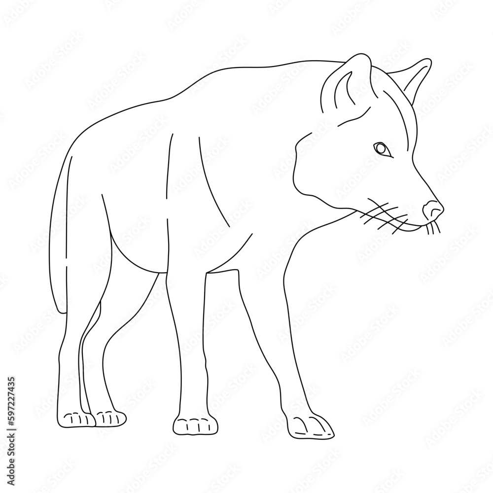 Sketch of Wolf. Hand drawn vector illustration.