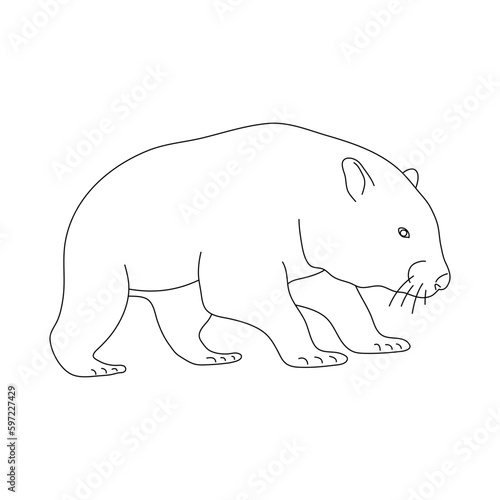 Wombat in line art drawing style. Vector illustration.